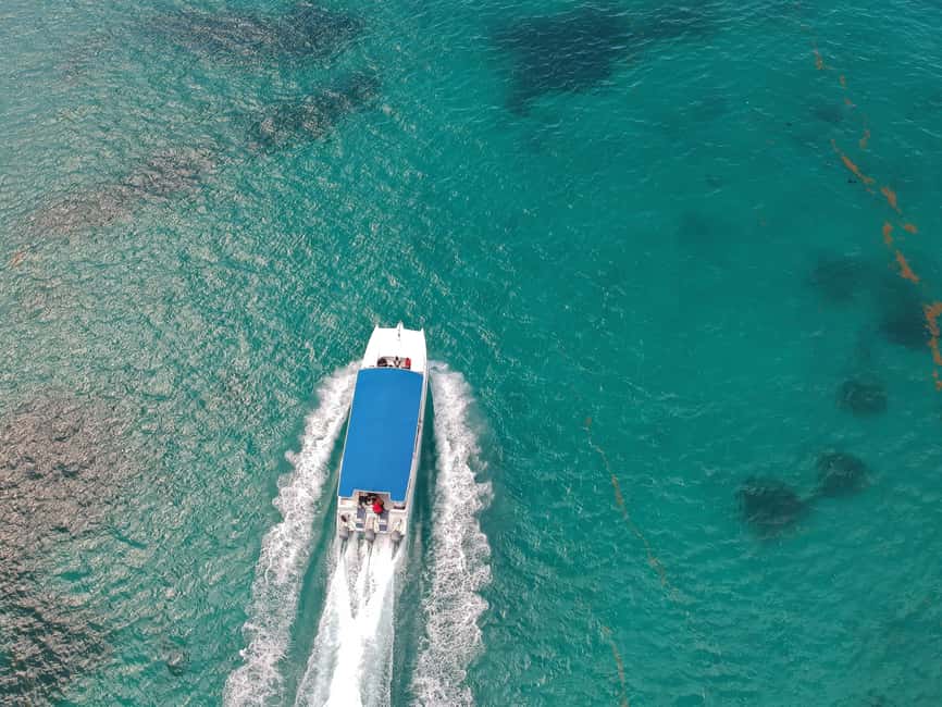 Punta Cana: Saona Island Full-Day All-Inclusive Boat Tour - Dominican buffet lunch and drinks
