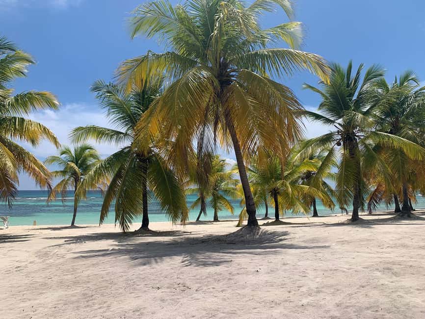 Punta Cana: Saona Island Premium 3 beaches - Why this Saona trip costs $95