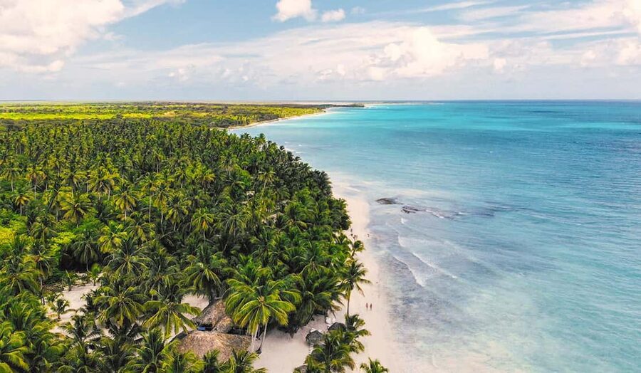Punta Cana: Saona Island Premium 3 beaches - Flamenco Beach, mangroves, and the natural pool