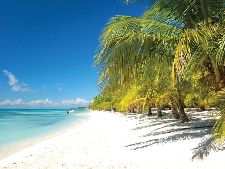 Punta Cana: Saona Island Speedboat and Catamaran Tour - Key points at a glance