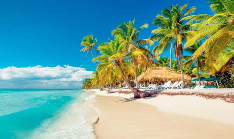 Punta Cana: Saona Island Tour with Lunch and Drinks - What lunch includes, and what it does not