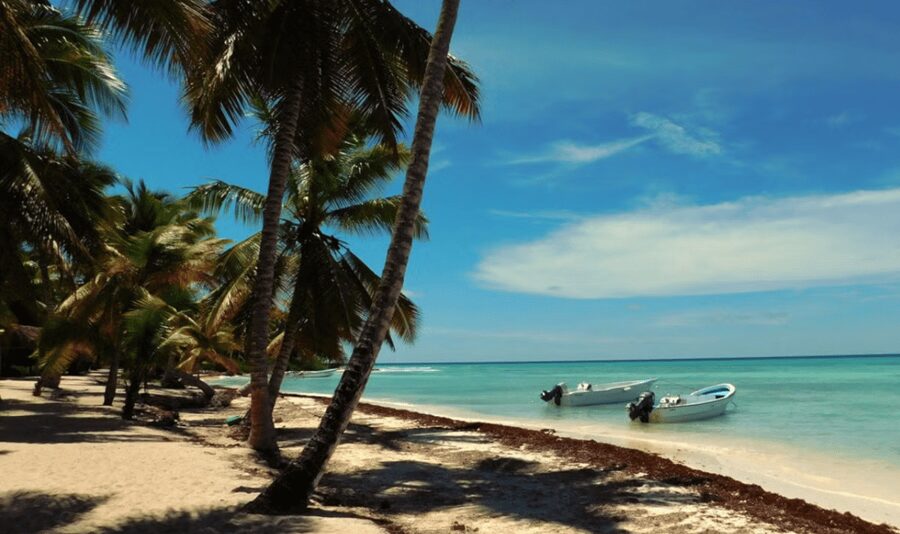 Punta Cana: Saona Island Tour with Lunch and Drinks - Is $75 a fair price?