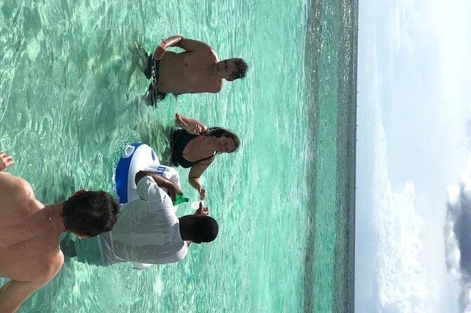 Punta Cana: Saône Island in Catamaran, Small Groups, With Food - Who Will Get the Best Value at $109.86
