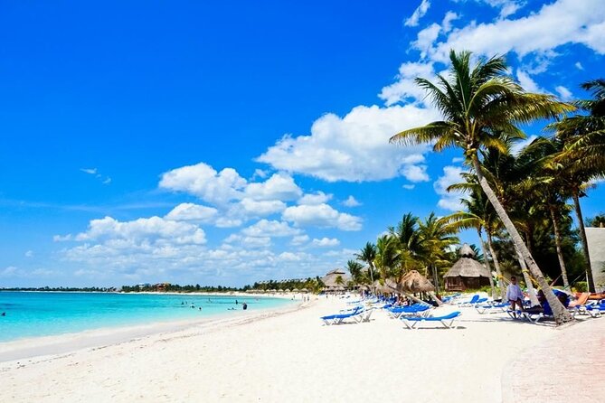 Punta Cana: Saône Island in Catamaran, Small Groups, With Food - Boat Out, Catamaran Back