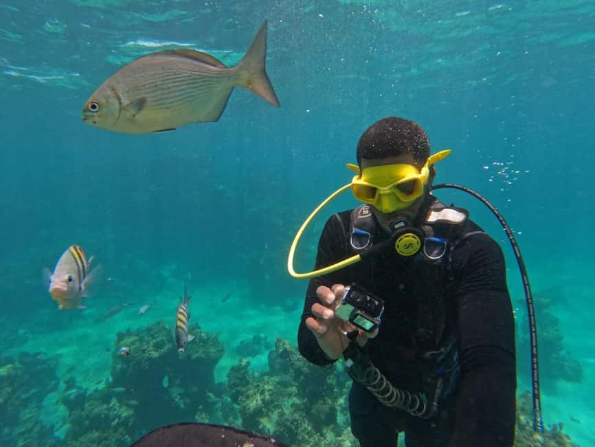 Punta Cana: Scuba Doo Adventure with Round-Trip Transfer - Comfort, safety, and who should skip it