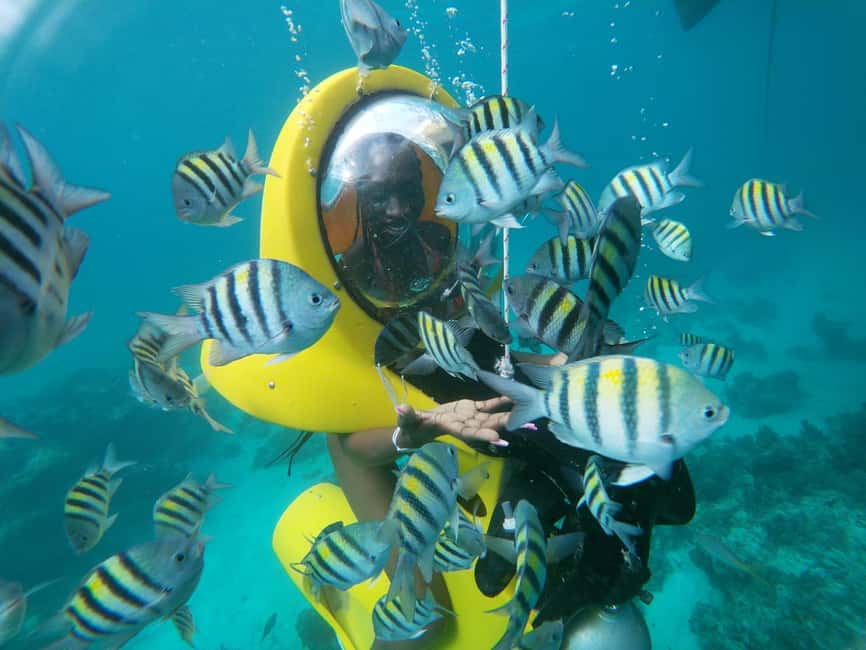 Punta Cana: Scubadoo Ocean Exploration Diving Adventure - Key points to know before booking