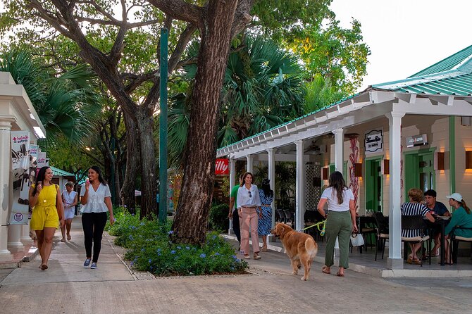 Punta Cana Shopping Tour - Who will enjoy this experience most