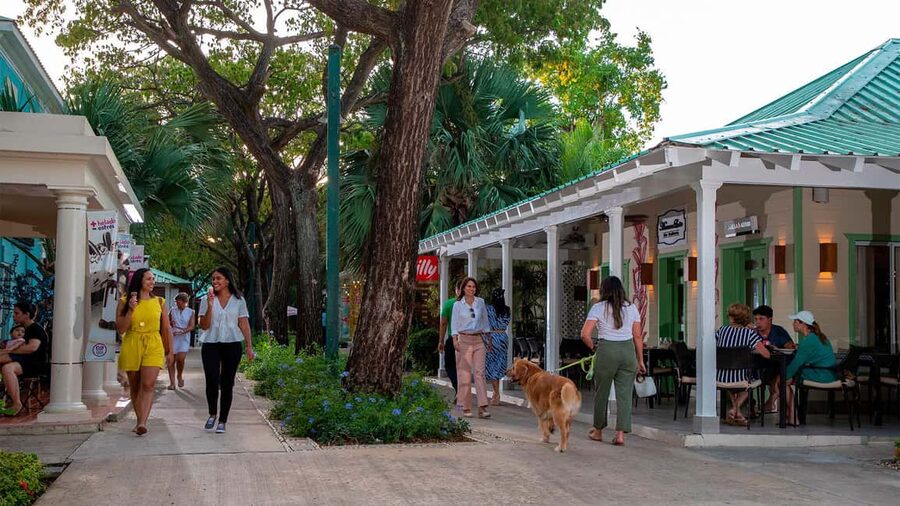 Punta Cana: Shopping Tour with Hotel Pickup and Drop-Off - Key points before you book