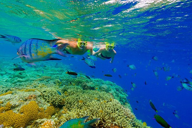Punta Cana Snorkeling Cruise and Dune buggy Combo Adventure - The midday transfer and why timing matters