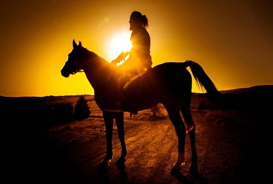 Punta Cana: Sunset Horseback Ride in Macao Beach and Forest - Key points at a glance