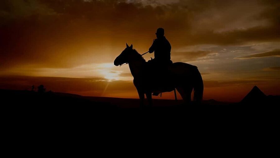 Punta Cana: Sunset Horseback Ride in Macao Beach and Forest - Who should book this ride?