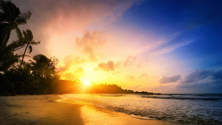 Punta Cana: Sunset Horseback Ride in Macao Beach and Forest - What to bring and wear