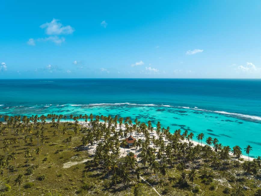 Punta Cana: Three Treasures of Saona - Palmilla, Pueblo & Canto de la playa - The 65-minute ride from Punta Cana or Bayahíbe