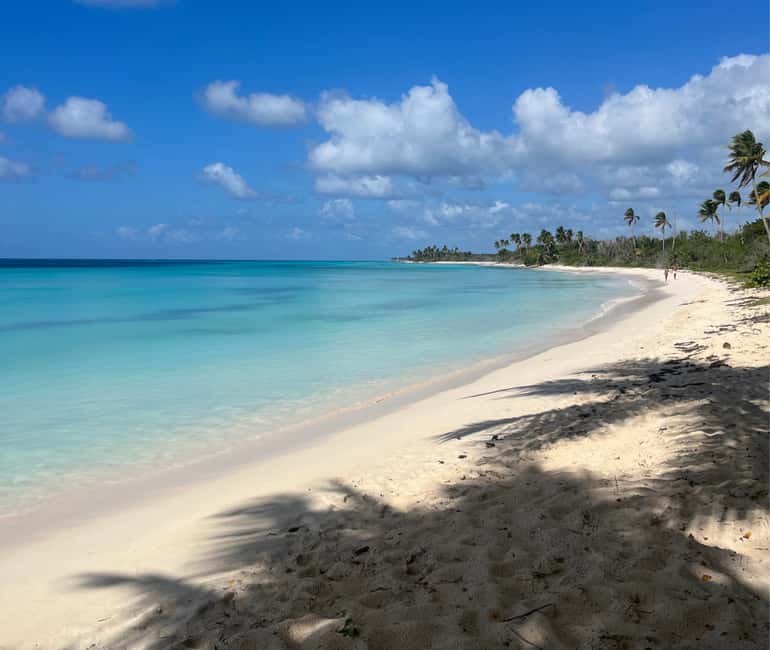 Punta Cana: Three Treasures of Saona - Palmilla, Pueblo & Canto de la playa - Mano Juan, where the island becomes personal
