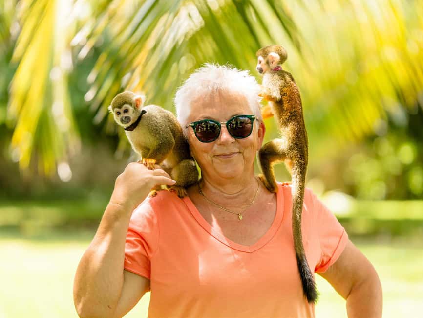 Punta Cana: Tour Monkey Adventure With Hotel Pick Up - Bottle-feeding, playtime, and the fruit picnic