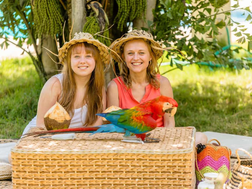 Punta Cana: Tour Monkey Adventure With Hotel Pick Up - Transportation, timing, and what to wear