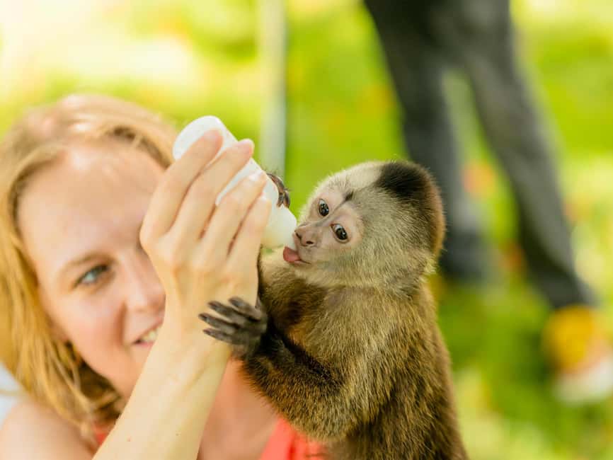 Punta Cana: Tour Monkey Adventure With Hotel Pick Up - Who will enjoy this most?