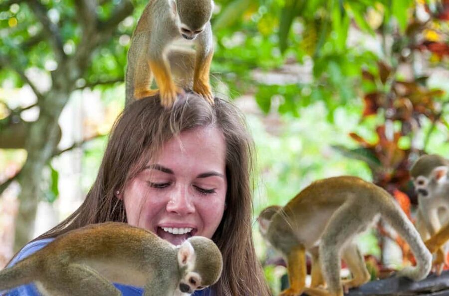 Punta Cana: Triple Jungle Adventure Park Tour with Tastings - Cacao, coconut, fruit, and coffee at Casa del Coco