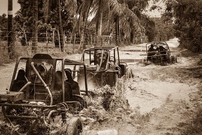 Punta Cana: Ultimate Dune Buggy Experience in Macao Beach Caves - Swimming in the natural caves