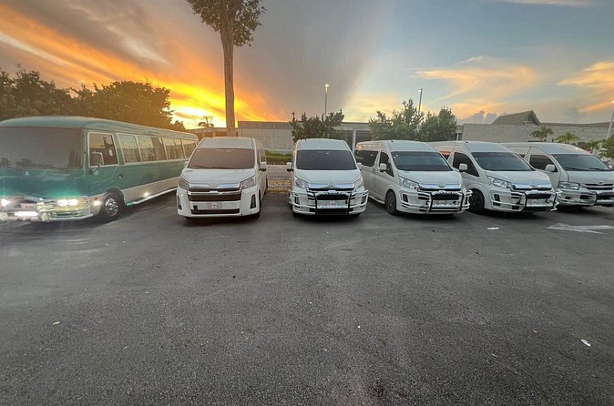 Punta Cana VIP Private Transfer Service - Booking details worth checking before payment