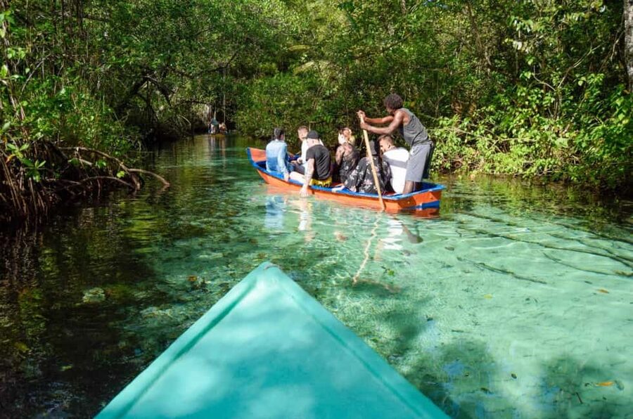 Punta Cana: Whale Watching, Cayo Levantado & Limon Waterfall - Crossing to the Samaná Peninsula
