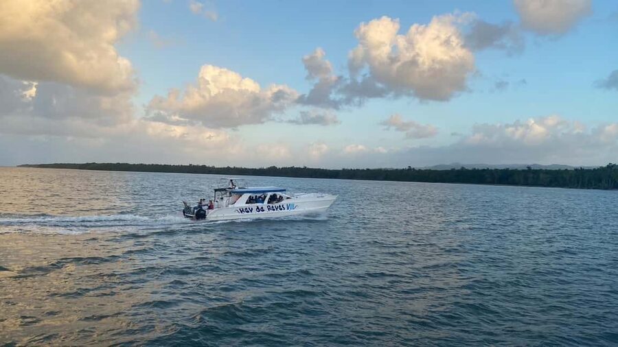 Punta Cana: Whale Watching, Cayo Levantado & Limon Waterfall - A traditional Dominican lunch by the dock