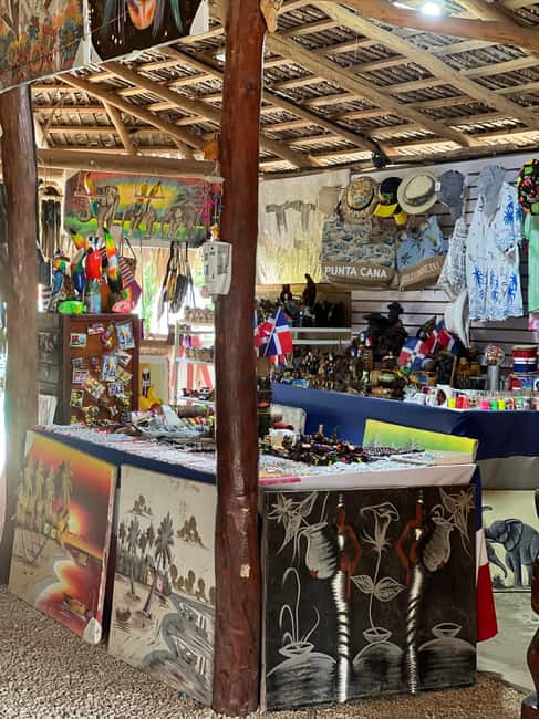 Punta Cana: Wild Off-Road Dune Buggy Adventure - Key points to know before you book