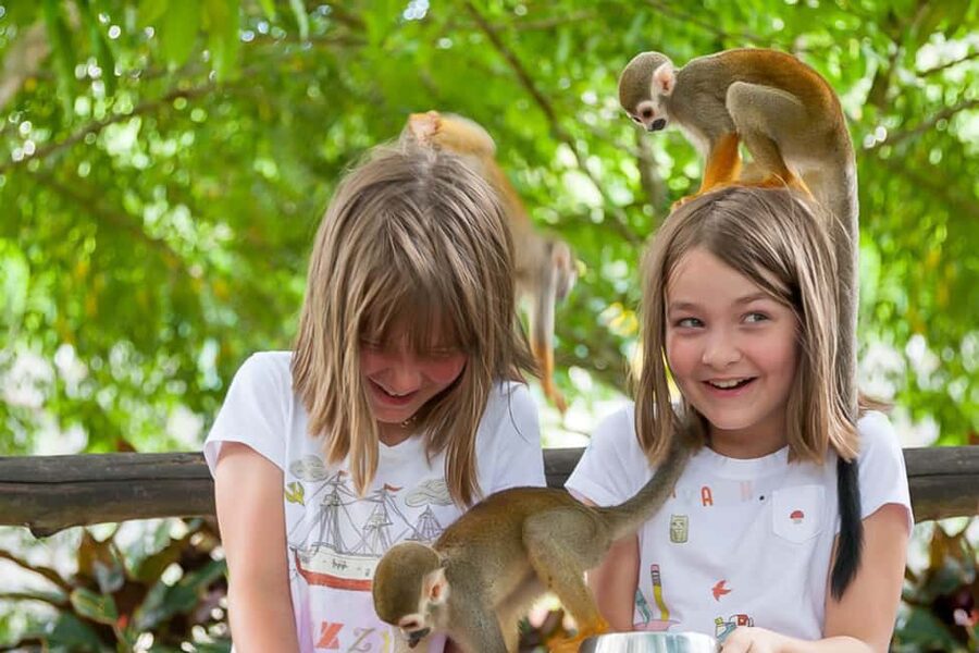 Punta Cana: Ziplines Adventures & Monkeyland Entry - Flying above the Anamuya mountains