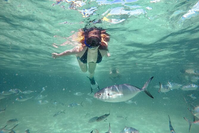 Reef Explorer Half Day Trip - Key points to know before you book