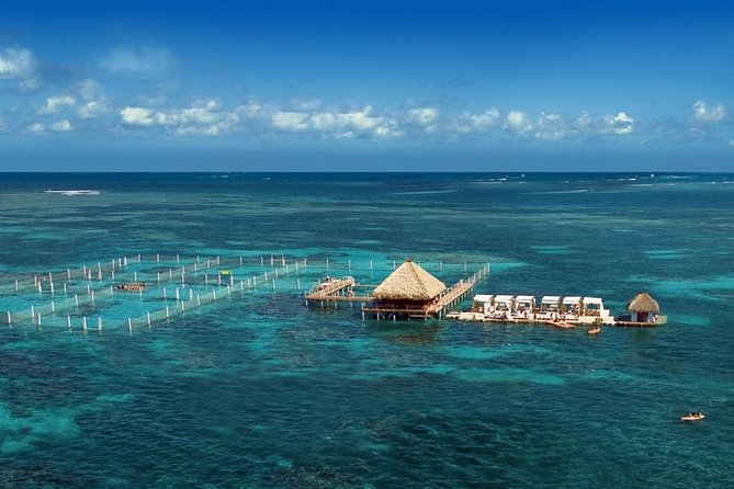 Reef Explorer Half Day Trip - A half-day built around Bávaro Beach