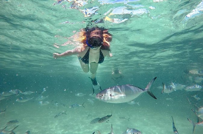 Reef Explorer Half Day Trip - Snacks, juice, and Mama Juana