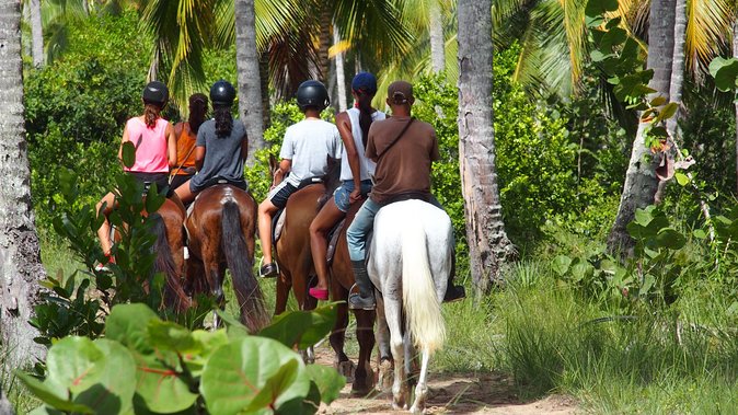 Ride Horses on the Beach - Choosing a Horse and Getting Ready
