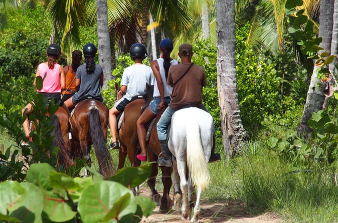 Ride Horses on the Beach - Final Decision: Book It If You Want Countryside and Coast