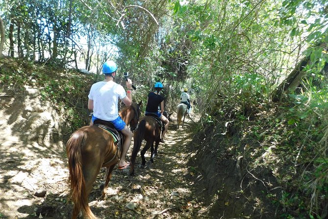 Ride N Zip Adventure - Fresh fruit and views between the lines
