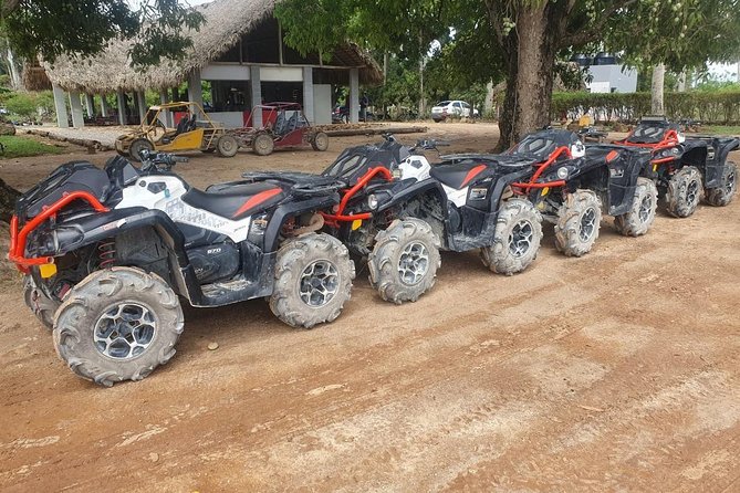 River Cave and Macao Beach Half-Day Quad Bike Adventure - Swimming inside the river cave