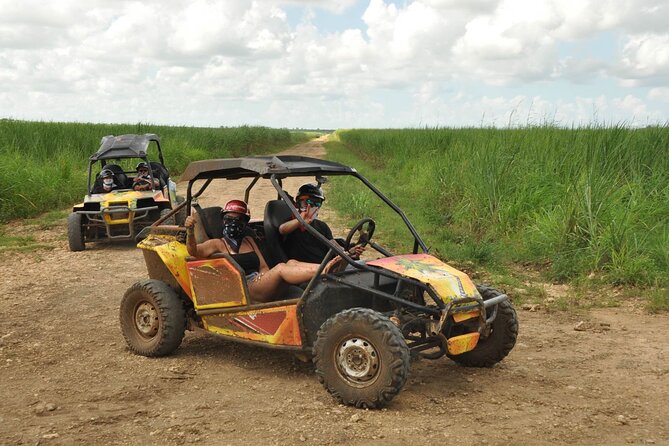 Rivers, Jungle with Buggies Adventure in Bayahibe - A buggy ride with more than one setting