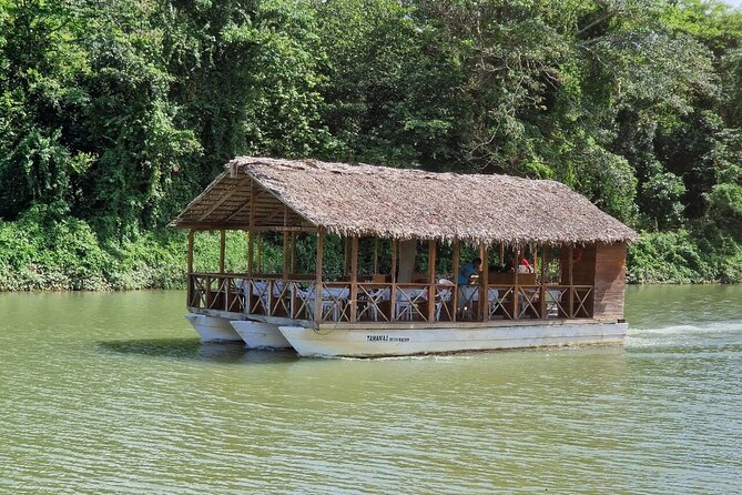 Rivers, Jungle with Buggies Adventure in Bayahibe - Stop 1: Conucos and the farming side of La Romana