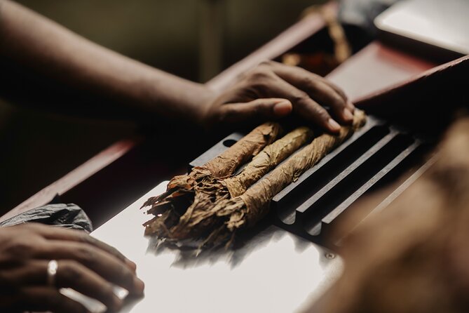 Roll your Own Cigar in Puerto Plata - Rolling Your Own Cigar From Start to Finish