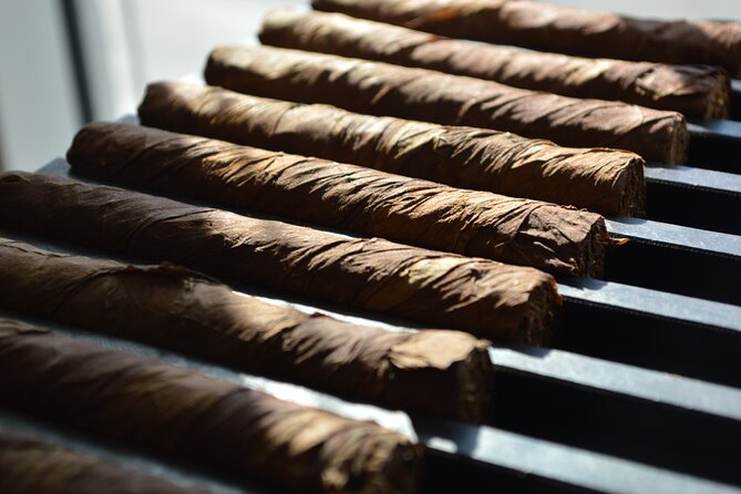 Roll your Own Cigar in Puerto Plata - How the $100 Price Holds Up
