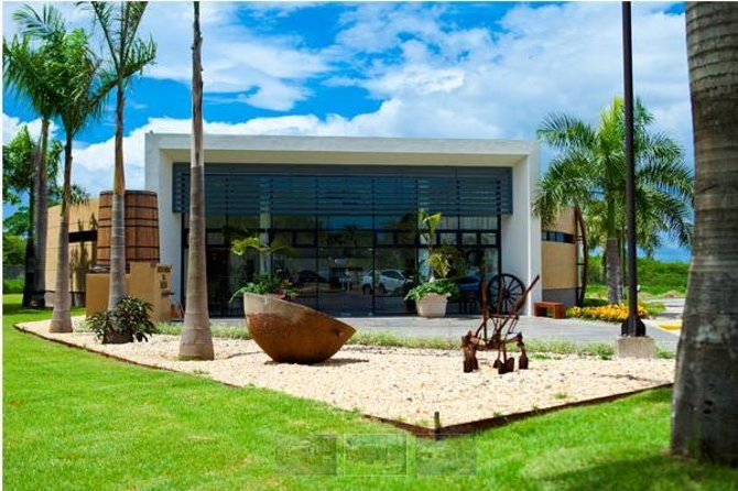 Ron Barcelo Anejo Experience Factory Tour - From sugar cane to Dominican rum
