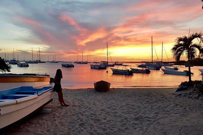 Round Trip Punta Cana Airport Shuttle - Direct service to Punta Cana hotels and ports