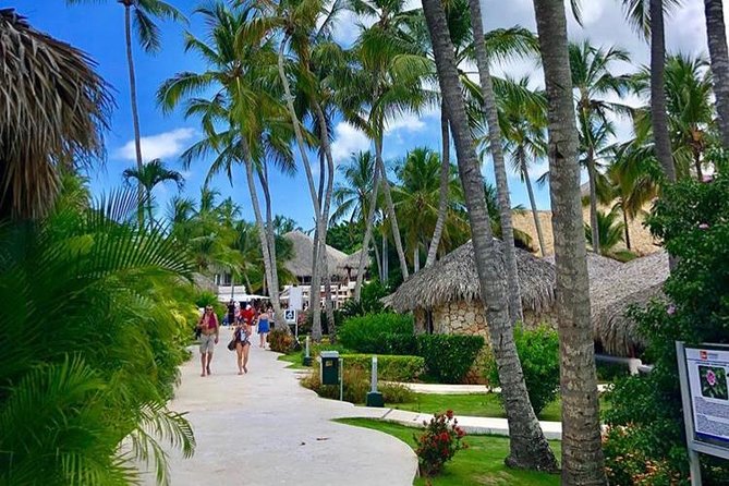 Round Trip Punta Cana Airport Shuttle - Reliability: strong results with a few warning signs