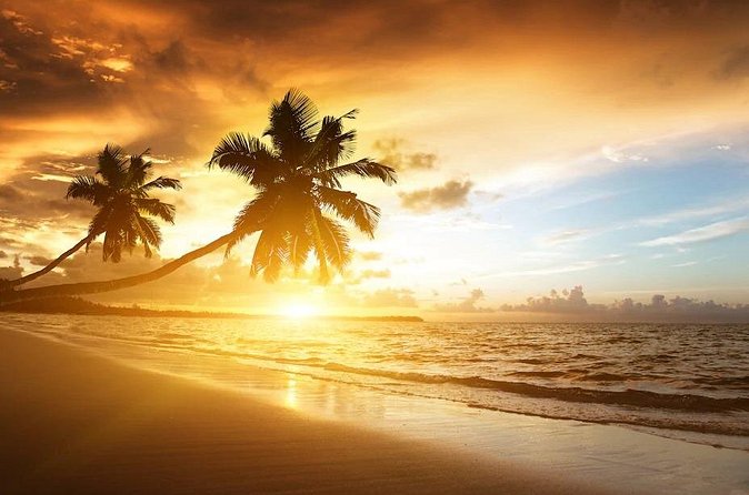 Royalton Bavaro- Round Trip Shuttle - Punta Cana Airport - What you should and should not expect inside the vehicle