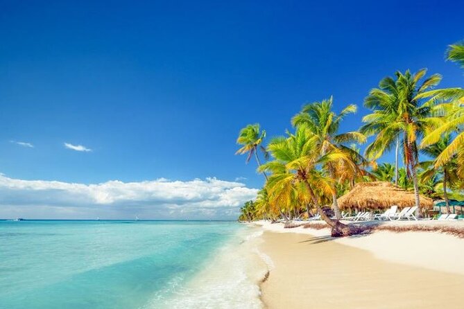 Royalton Punta Cana - Round Trip Shuttle - Punta Cana Airport - Timing, flight changes, and small planning details