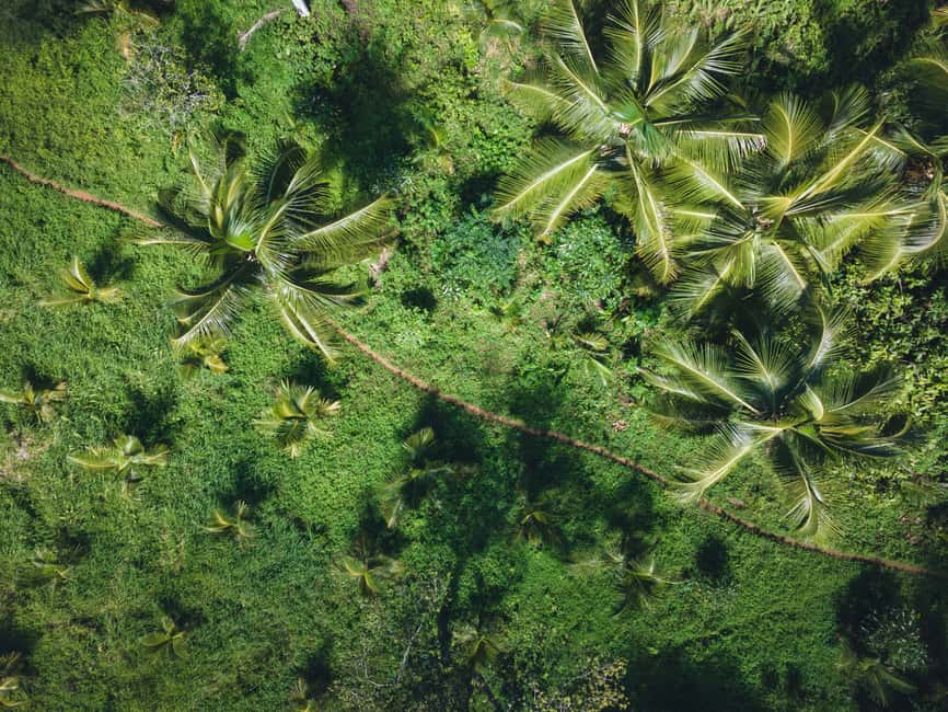 Sabana de la Mar: Los Haitises Guided Hike and Kayaking - Should you book the Los Haitises hike and kayak tour?