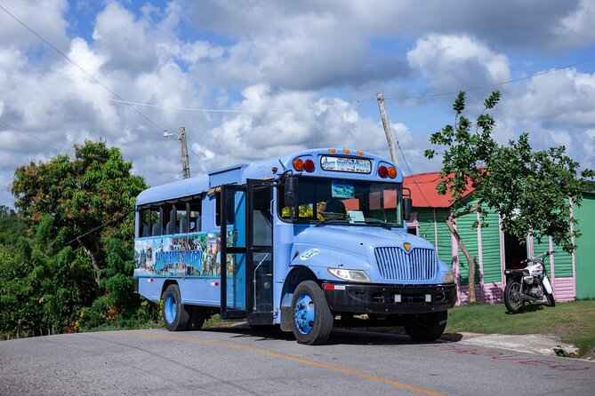 Safari and Higuey Church from Punta Cana - A country house, rural school, and everyday Dominican life