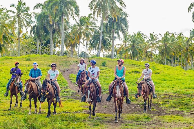Safari Full Day Outdoor Adventure from Punta Cana - What the customer feedback tells you
