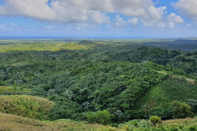 Safari Full Day VIP Experience - Coffee, cocoa, cigars, and Dominican flavors