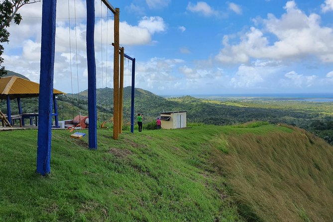 Safari Full Day VIP Experience - The ride, vehicle, and comfort level