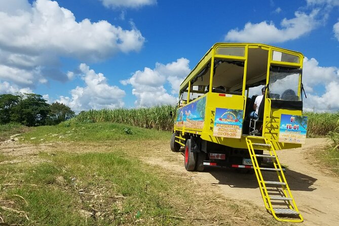 Safari Half Day Experience - Timing, comfort, and the risk of a rushed route
